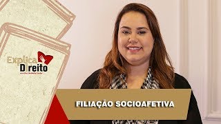 Explica Direito Filiação Socioafetiva  2019 [upl. by Adeys]